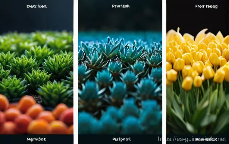 기니에서 필수적으로 가져가야 할 여행 아이템 - Here are three detailed image prompts in English, designed to be appropriate for a 15+ audience and ...