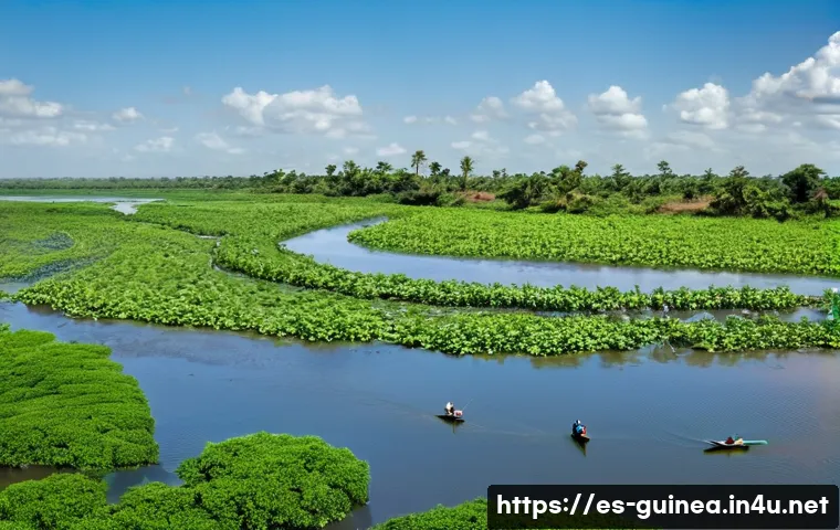 El sorprendente giro de Guinea: Así reconfigura sus relaciones en África Occidental 3 기니와 주변국 관계 분석 관련 이미지 1