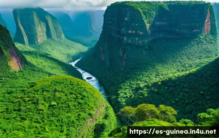 Descubre 7 consejos imprescindibles para explorar el Parque Nacional de Guinea sin perder detalle 3 기니 국립공원 탐방 관련 이미지 1